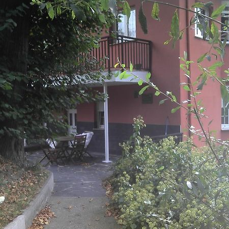 Apartamentos Los Balcones Tineo Exteriör bild